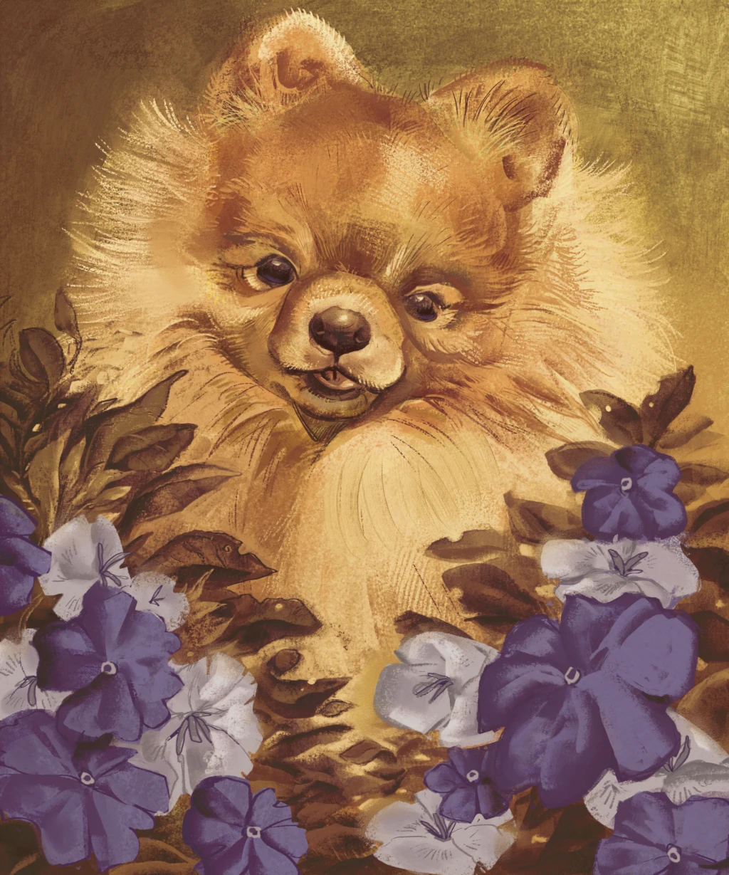 An orange pomeranian behind a neutral-green background. Blue and white flowers in the foreground.
