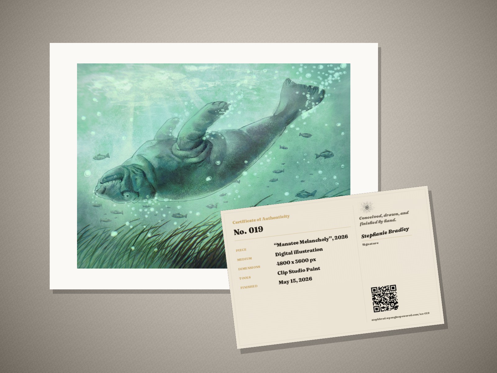 What arrives: the “Manatee Melancholy” print in its mat, with its signed certificate of authenticity